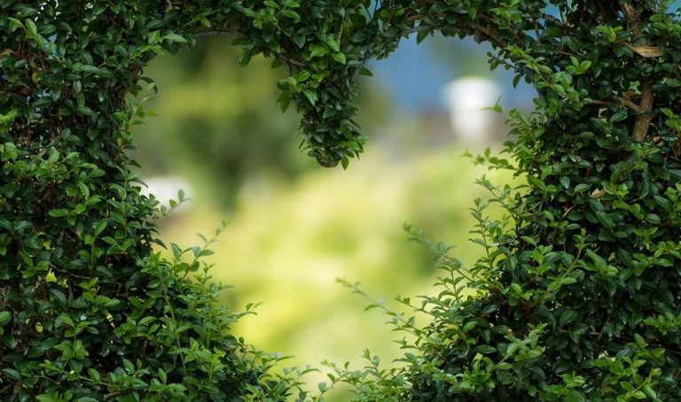 El Grupo Bonduelle obtiene la certificación B Corp™ en todas sus operaciones a nivel mundial